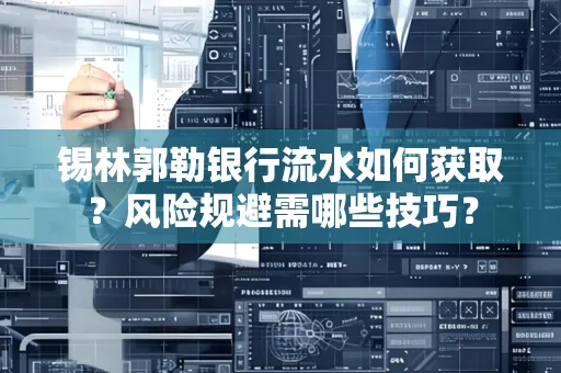 锡林郭勒银行流水如何获取?风险规避需哪些技巧?