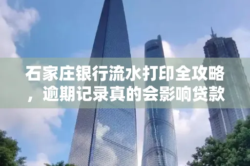 石家庄银行流水打印全攻略，逾期记录真的会影响贷款吗？
