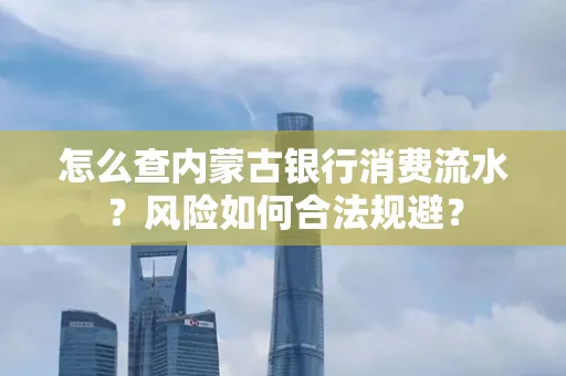 怎么查内蒙古银行消费流水?风险如何合法规避?