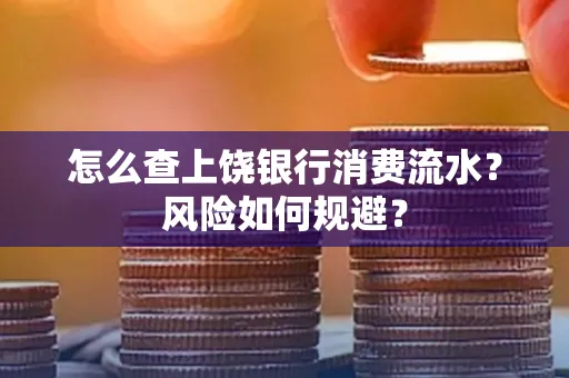 怎么查上饶银行消费流水?风险如何规避?