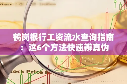 鹤岗银行工资流水查询指南:这6个方法快速辨真伪