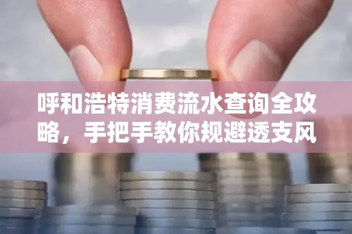 呼和浩特消费流水查询全攻略,手把手教你规避透支风险