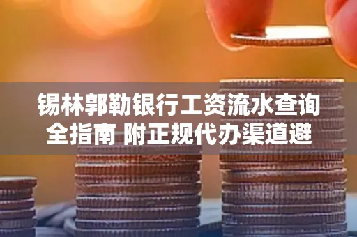 锡林郭勒银行工资流水查询全指南 附正规代办渠道避坑