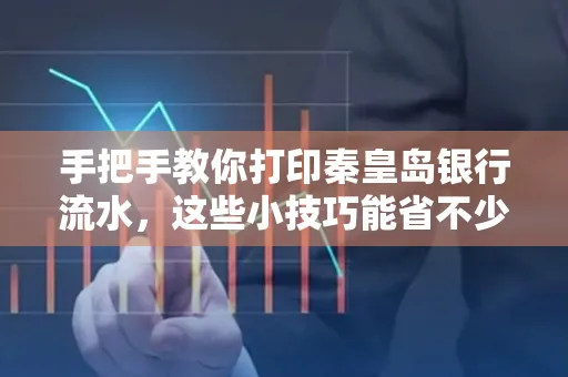 手把手教你打印秦皇岛银行流水,这些小技巧能省不少事