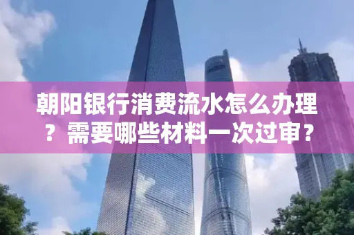 朝阳银行消费流水怎么办理?需要哪些材料一次过审?