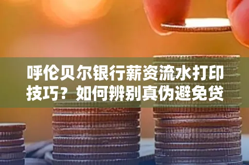呼伦贝尔银行薪资流水打印技巧?如何辨别真伪避免贷款风险?