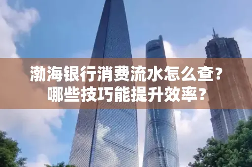 渤海银行消费流水怎么查？哪些技巧能提升效率？
