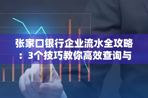 张家口银行企业流水全攻略:3个技巧教你高效查询与风险规避