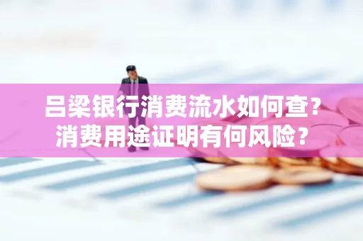 吕梁银行消费流水如何查?消费用途证明有何风险?