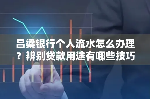 吕梁银行个人流水怎么办理?辨别贷款用途有哪些技巧?