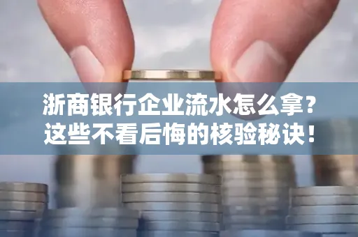 浙商银行企业流水怎么拿?这些不看后悔的核验秘诀!