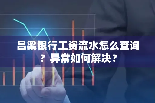 吕梁银行工资流水怎么查询?异常如何解决?
