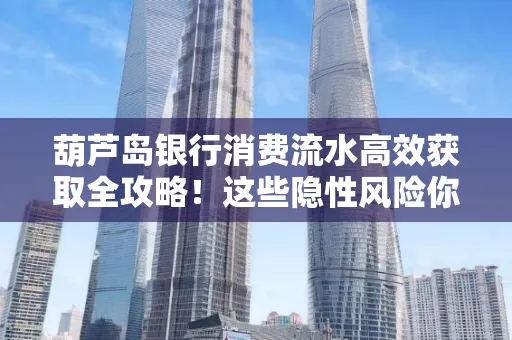 葫芦岛银行消费流水高效获取全攻略!这些隐性风险你必须知道