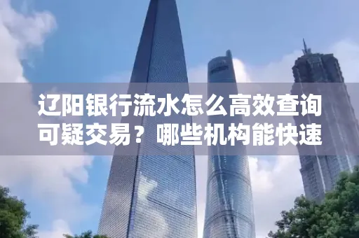 辽阳银行流水怎么高效查询可疑交易?哪些机构能快速分析账单风险?