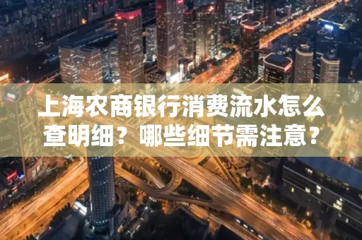 上海农商银行消费流水怎么查明细?哪些细节需注意?