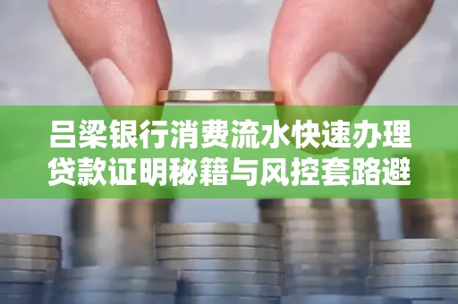 吕梁银行消费流水快速办理贷款证明秘籍与风控套路避坑指南