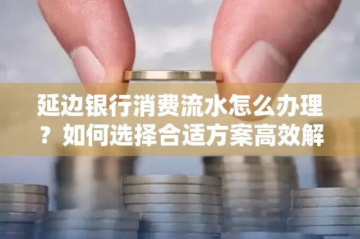 延边银行消费流水怎么办理?如何选择合适方案高效解决?