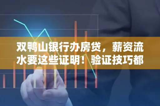 双鸭山银行办房贷，薪资流水要这些证明！验证技巧都在这里！