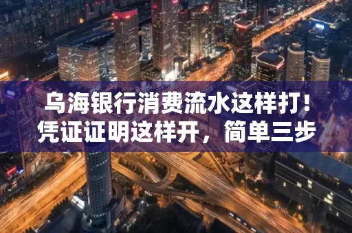 乌海银行消费流水这样打！凭证证明这样开，简单三步轻松搞定