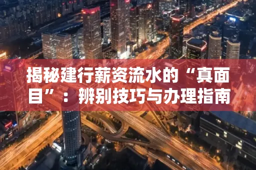 揭秘建行薪资流水的“真面目”:辨别技巧与办理指南大公开