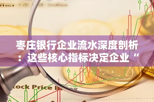 枣庄银行企业流水深度剖析:这些核心指标决定企业“钱袋子”健康度