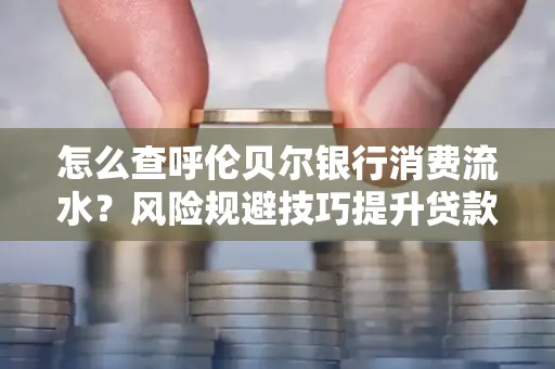 怎么查呼伦贝尔银行消费流水?风险规避技巧提升贷款率?