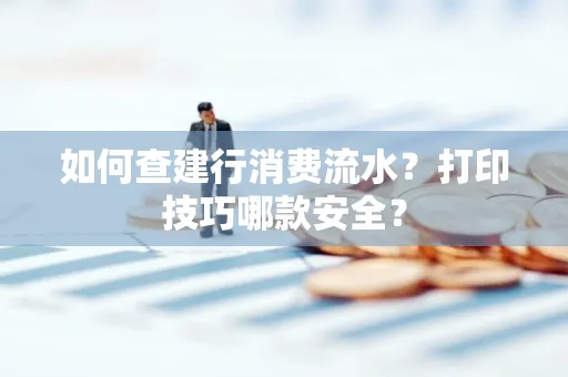 如何查建行消费流水?打印技巧哪款安全?